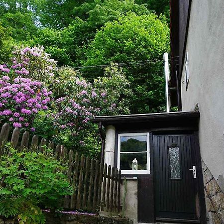 Ferienwohnung Im Gruenen Elbtal Stadt Wehlen Exterior foto
